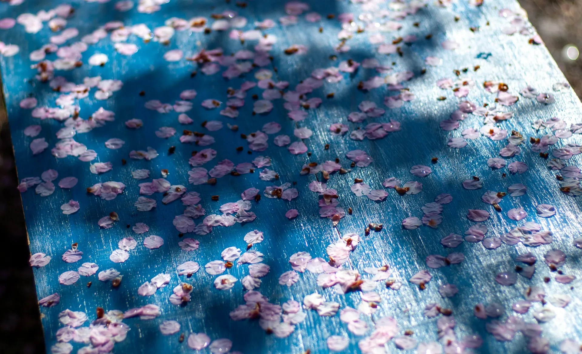 旅する写真家tabby