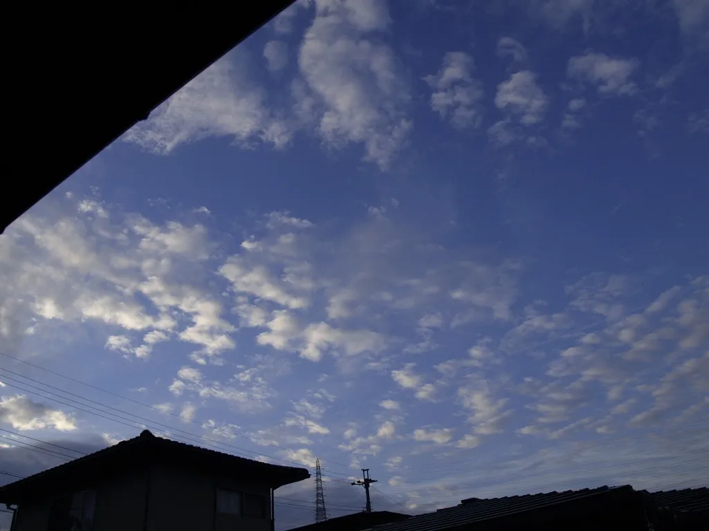 【秋の空・雲を撮ろう】空を見て、季節を感じたらシャッターを